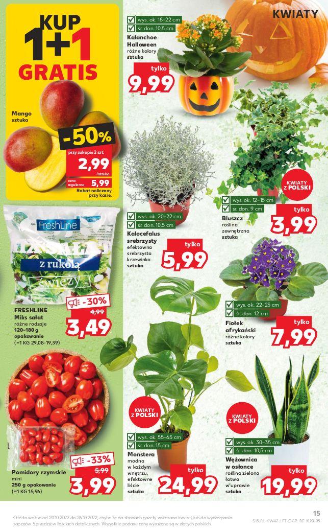 Gazetka promocyjna Kaufland do 26/10/2022 str.15