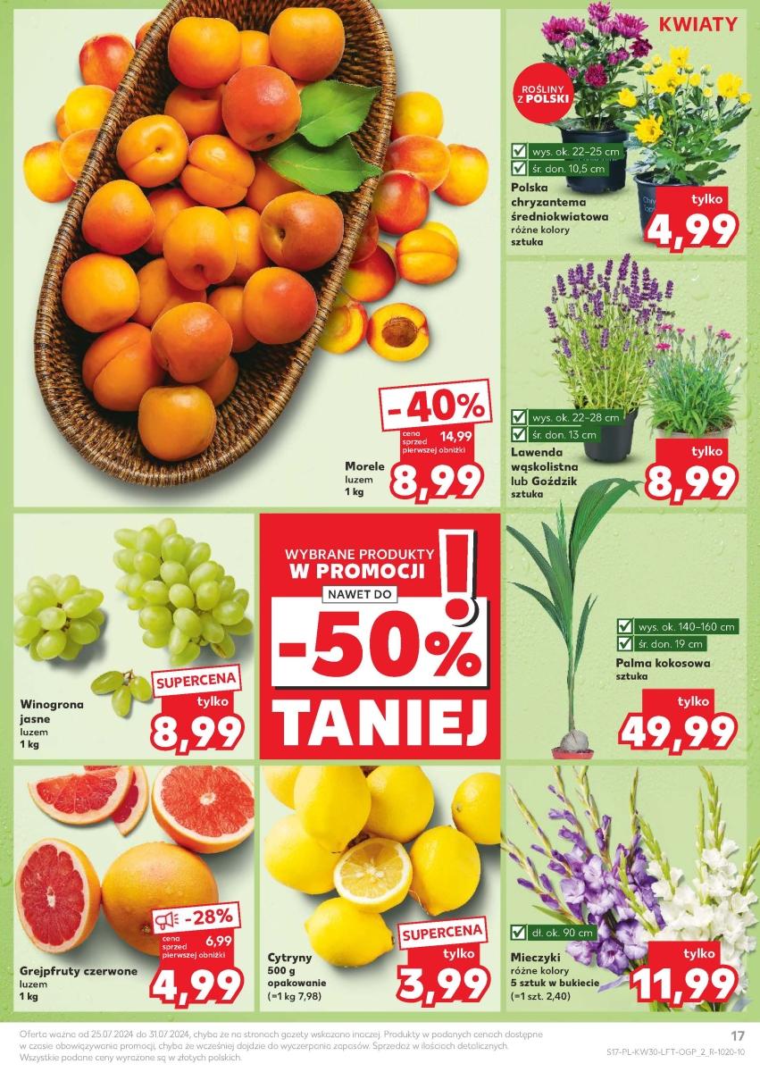 Gazetka promocyjna Kaufland do 31/07/2024 str.17