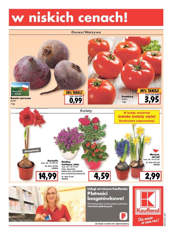 Gazetka promocyjna Kaufland do 03/02/2016 str.5