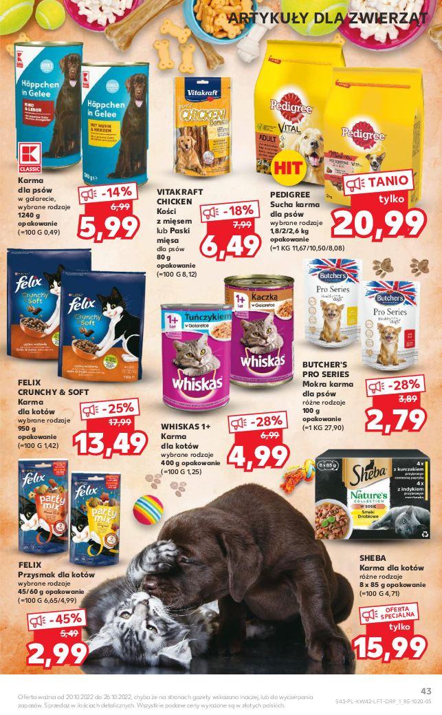 Gazetka promocyjna Kaufland do 26/10/2022 str.43