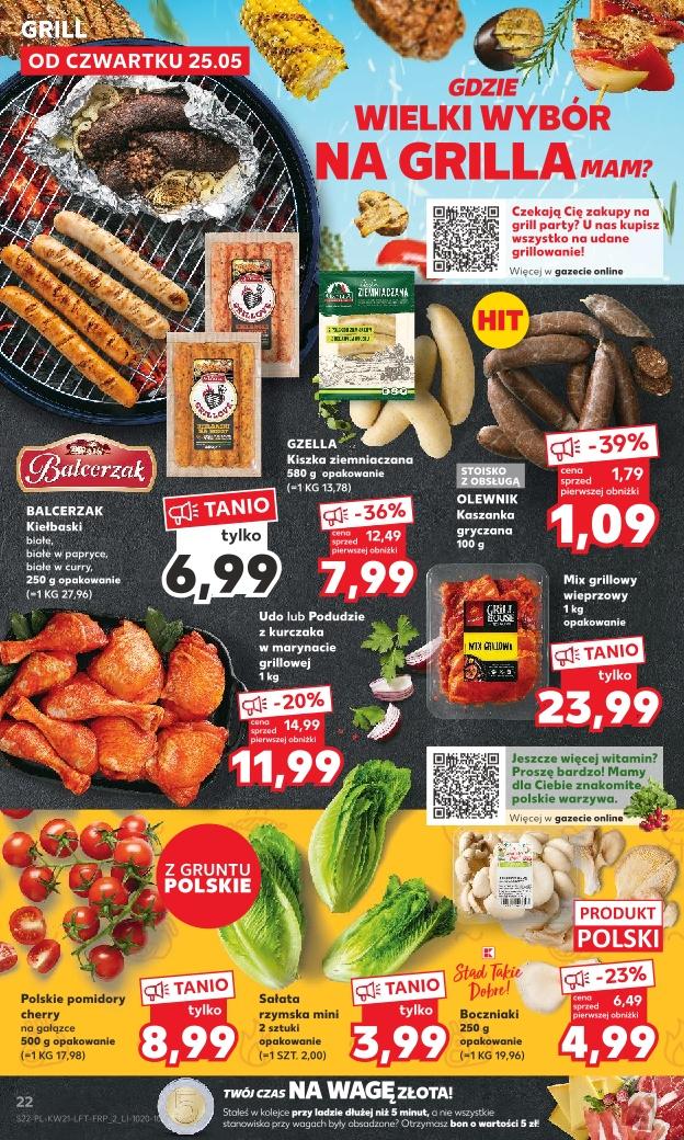 Gazetka promocyjna Kaufland do 31/05/2023 str.22