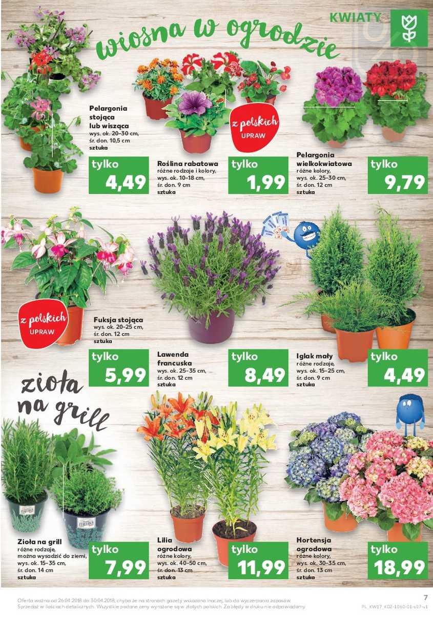 Gazetka promocyjna Kaufland do 02/05/2018 str.7