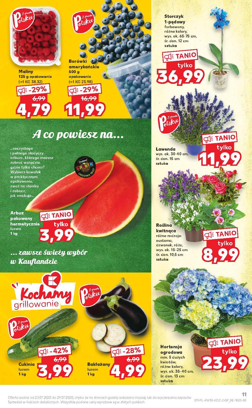 Gazetka promocyjna Kaufland do 29/07/2020 str.11