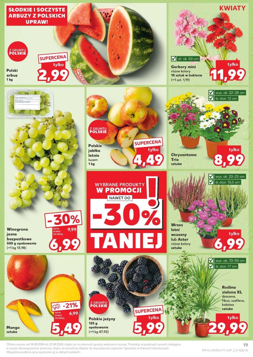 Gazetka promocyjna Kaufland do 21/08/2024 str.19