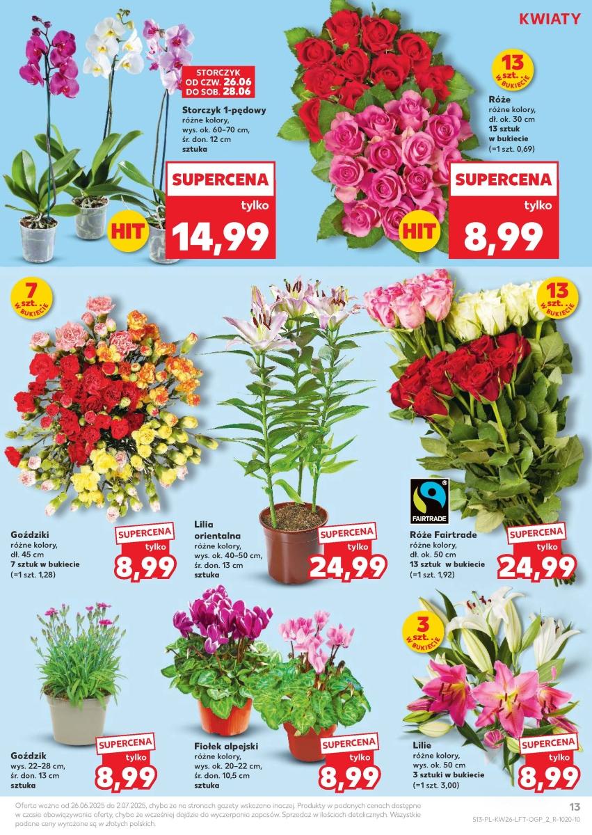 Gazetka promocyjna Kaufland do 02/07/2025 str.13