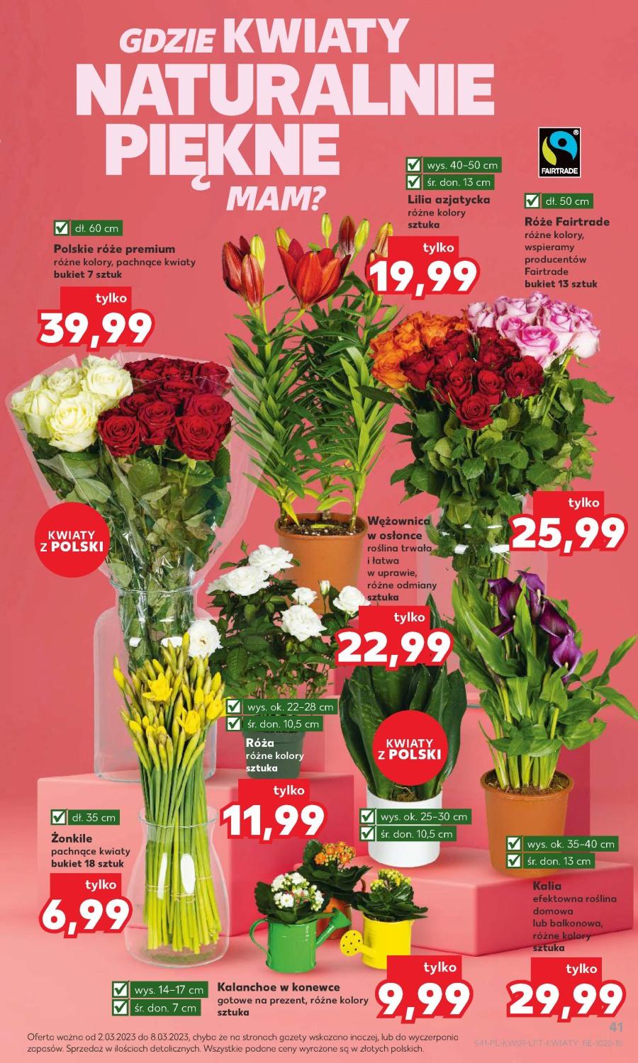 Gazetka promocyjna Kaufland do 08/03/2023 str.41