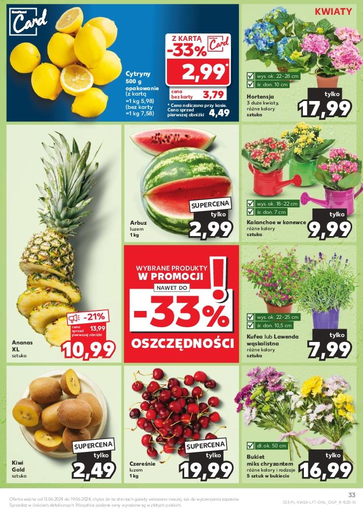 Gazetka promocyjna Kaufland do 19/06/2024 str.33