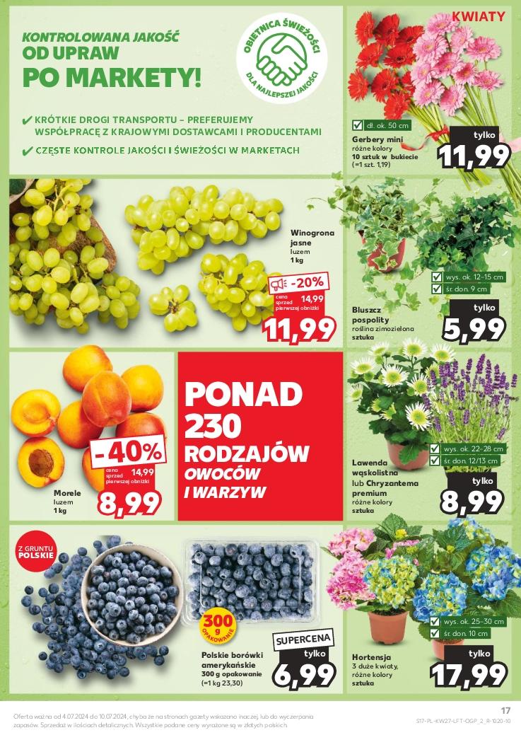 Gazetka promocyjna Kaufland do 10/07/2024 str.17