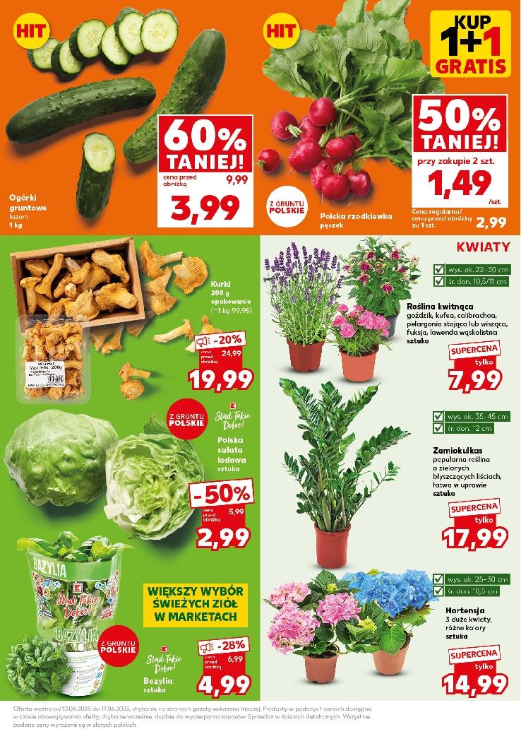 Gazetka promocyjna Kaufland do 18/06/2025 str.13