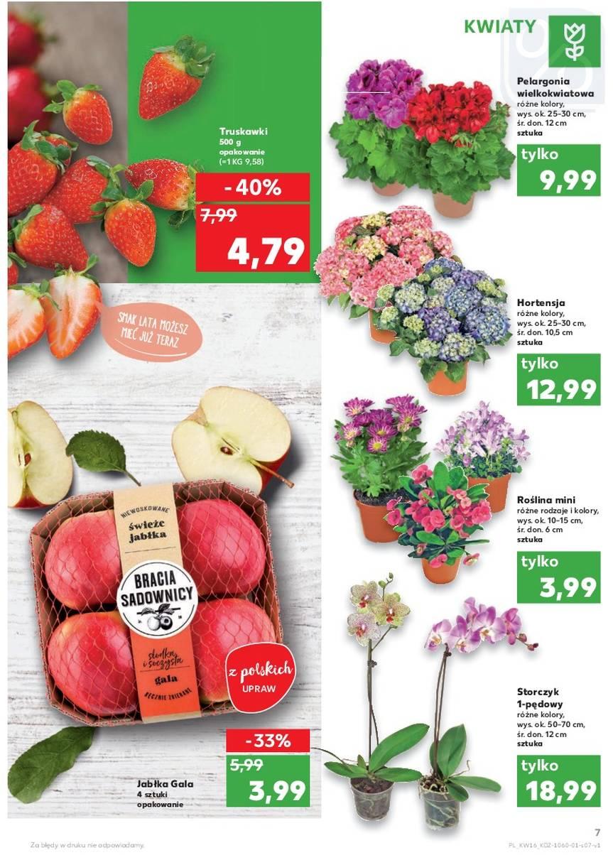 Gazetka promocyjna Kaufland do 25/04/2018 str.7