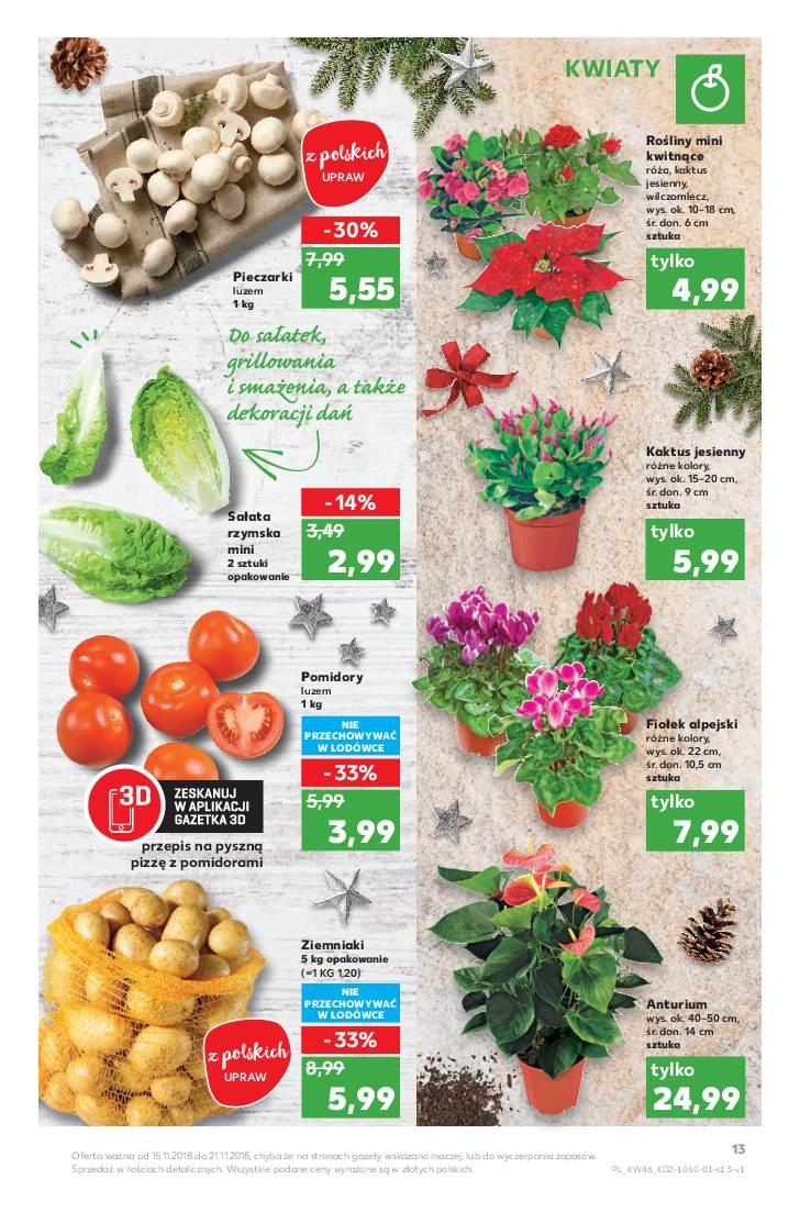 Gazetka promocyjna Kaufland do 21/11/2018 str.13