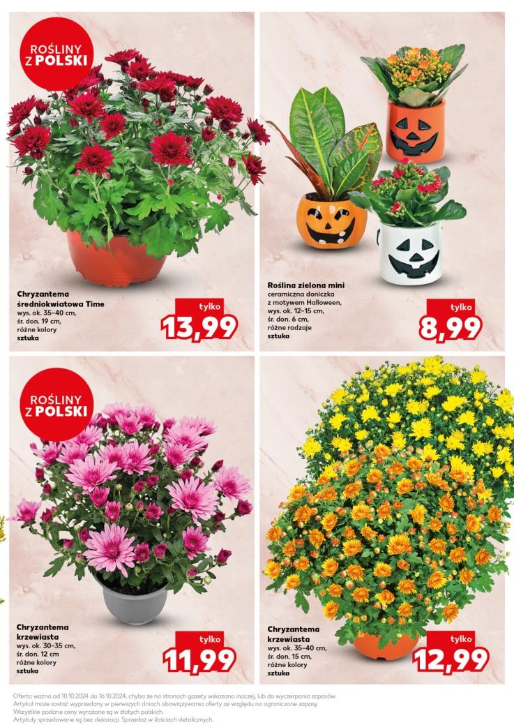 Gazetka promocyjna Kaufland do 16/10/2024 str.11