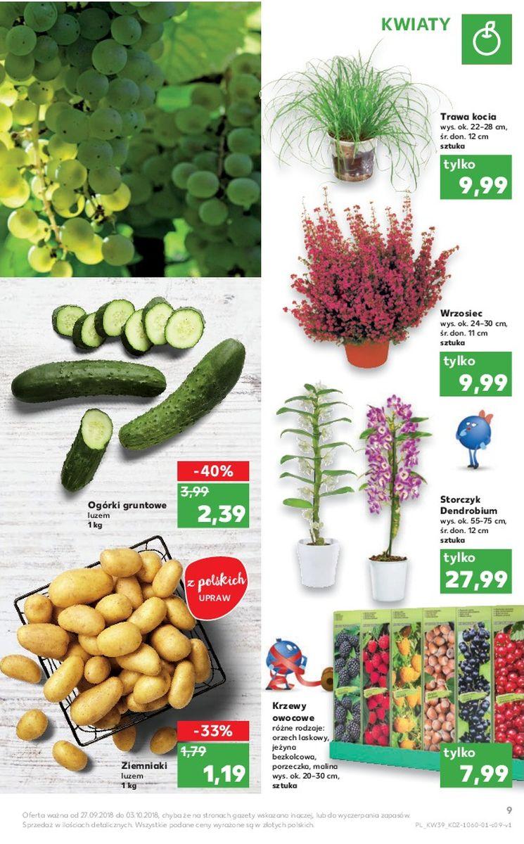 Gazetka promocyjna Kaufland do 03/10/2018 str.9