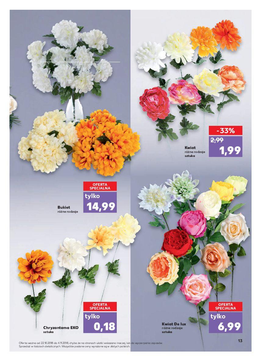 Gazetka promocyjna Kaufland do 04/11/2018 str.13