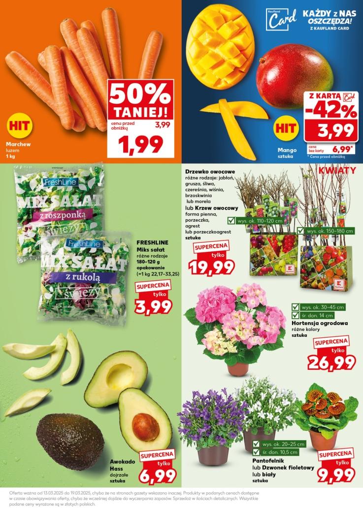 Gazetka promocyjna Kaufland do 19/03/2025 str.7