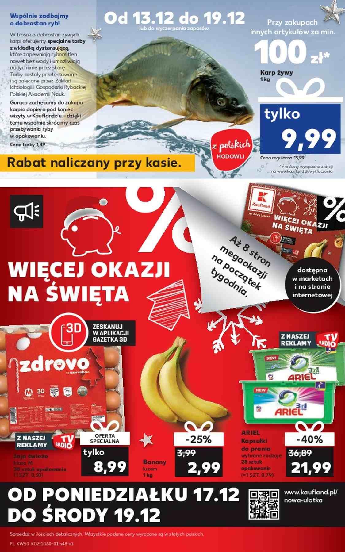 Gazetka promocyjna Kaufland do 19/12/2018 str.48