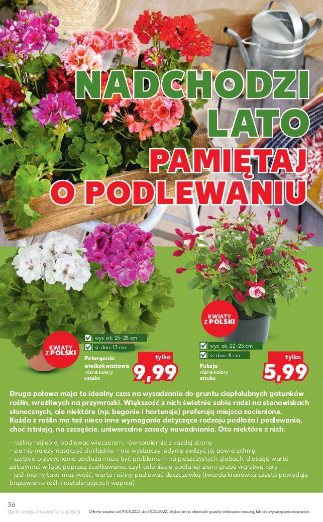 Gazetka promocyjna Kaufland do 25/05/2022 str.36