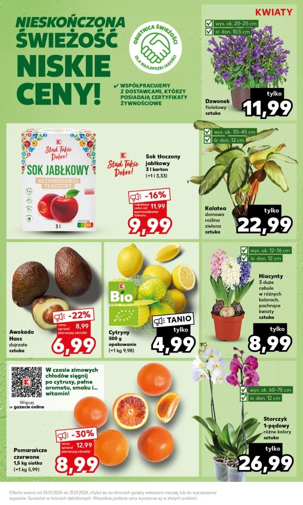 Gazetka promocyjna Kaufland do 31/01/2024 str.15