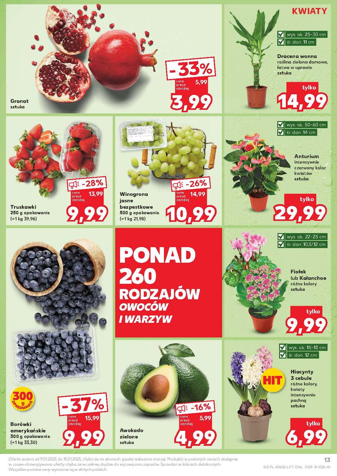 Gazetka promocyjna Kaufland do 15/01/2025 str.13