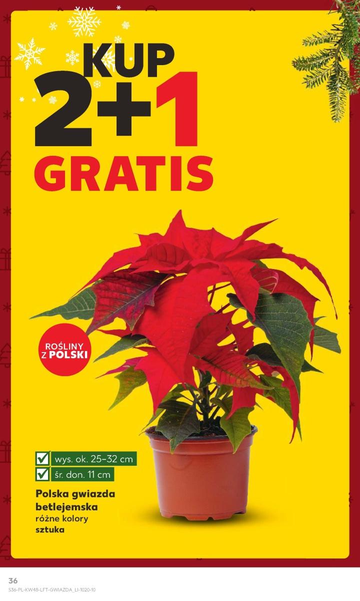 Gazetka promocyjna Kaufland do 06/12/2023 str.36