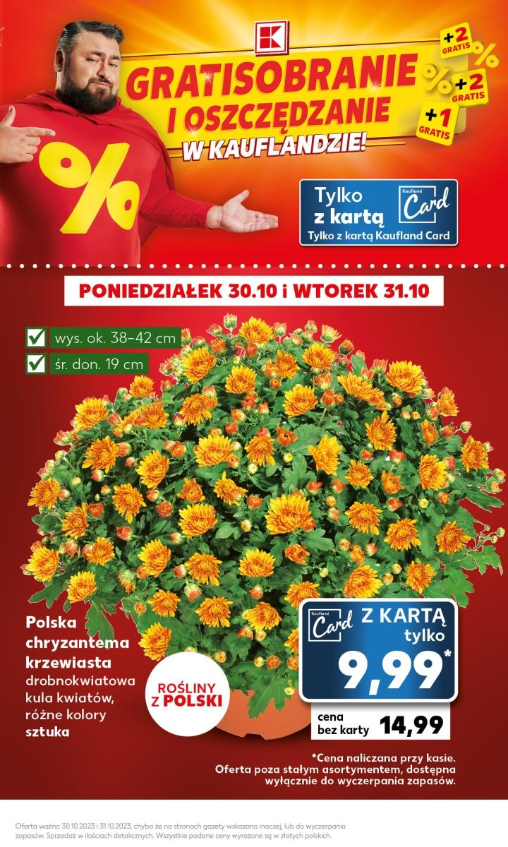 Gazetka promocyjna Kaufland do 31/10/2023 str.3