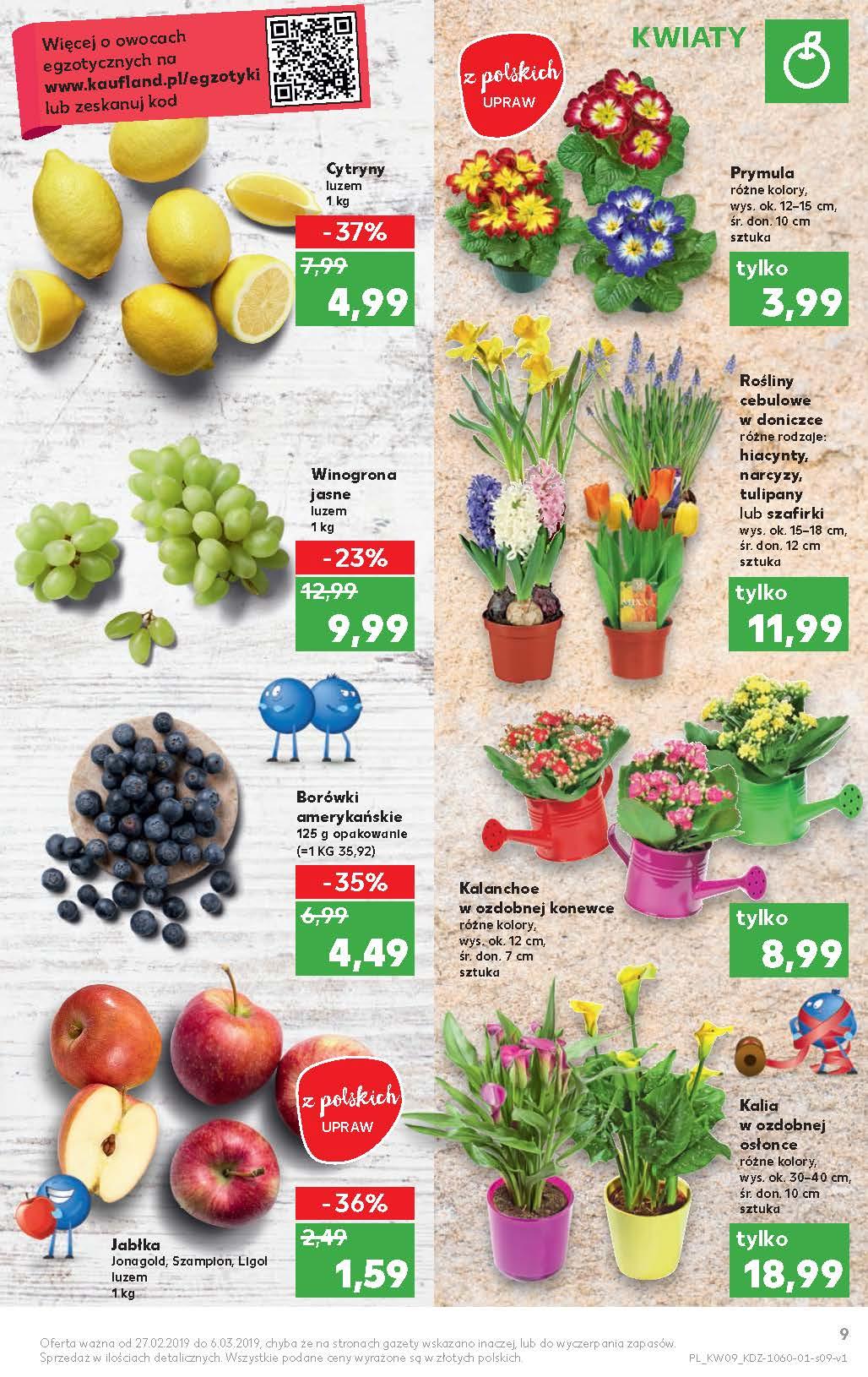 Gazetka promocyjna Kaufland do 06/03/2019 str.9