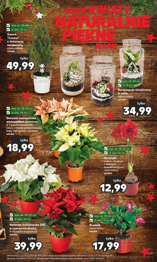 Gazetka promocyjna Kaufland do 19/12/2023 str.41