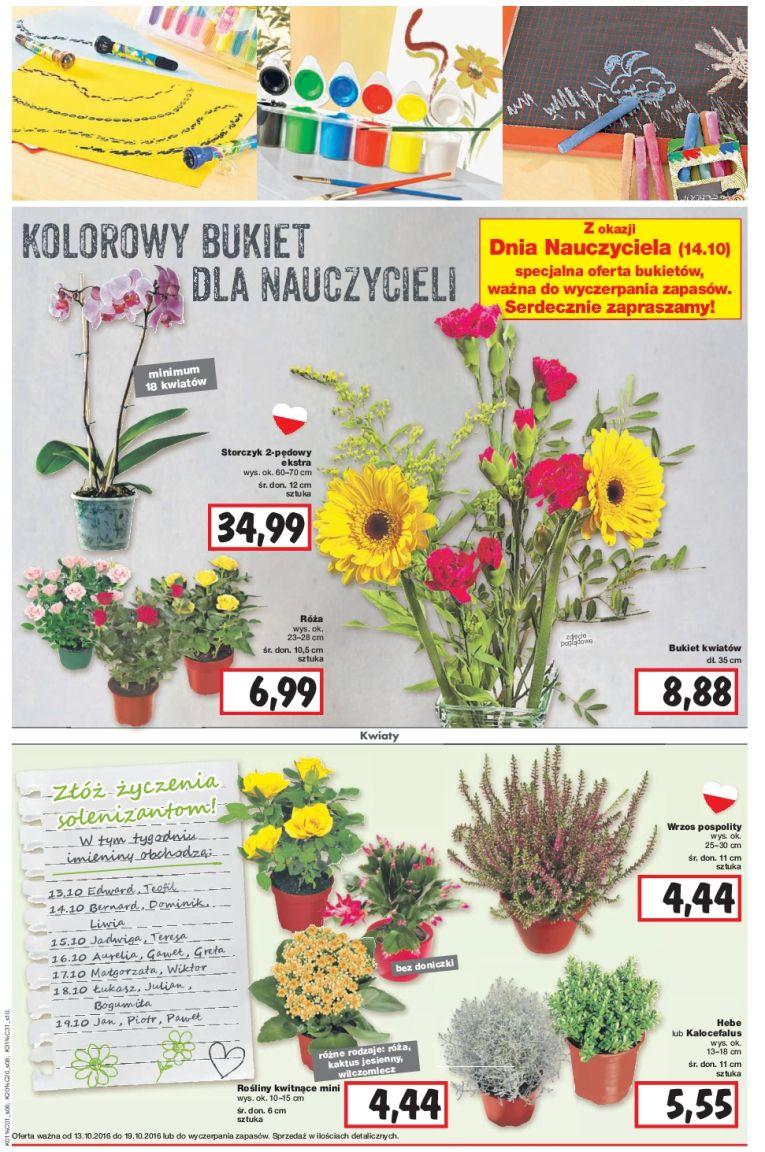 Gazetka promocyjna Kaufland do 19/10/2016 str.6