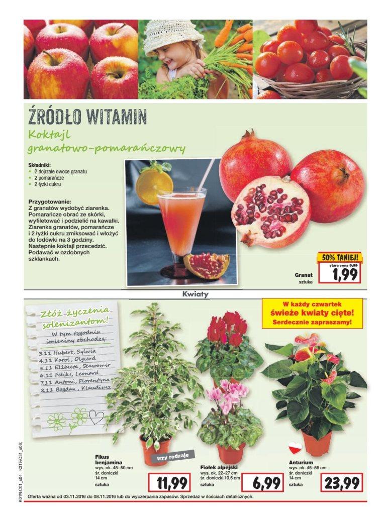 Gazetka promocyjna Kaufland do 09/11/2016 str.4