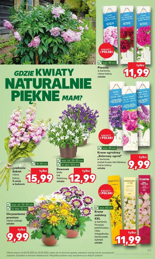 Gazetka promocyjna Kaufland do 25/04/2023 str.43