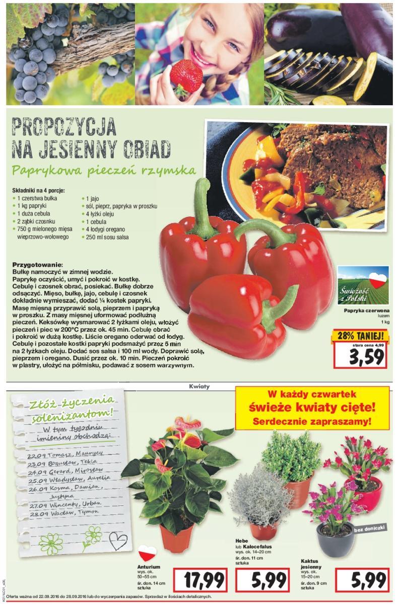 Gazetka promocyjna Kaufland do 28/09/2016 str.6