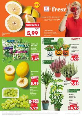 Gazetka Kaufland