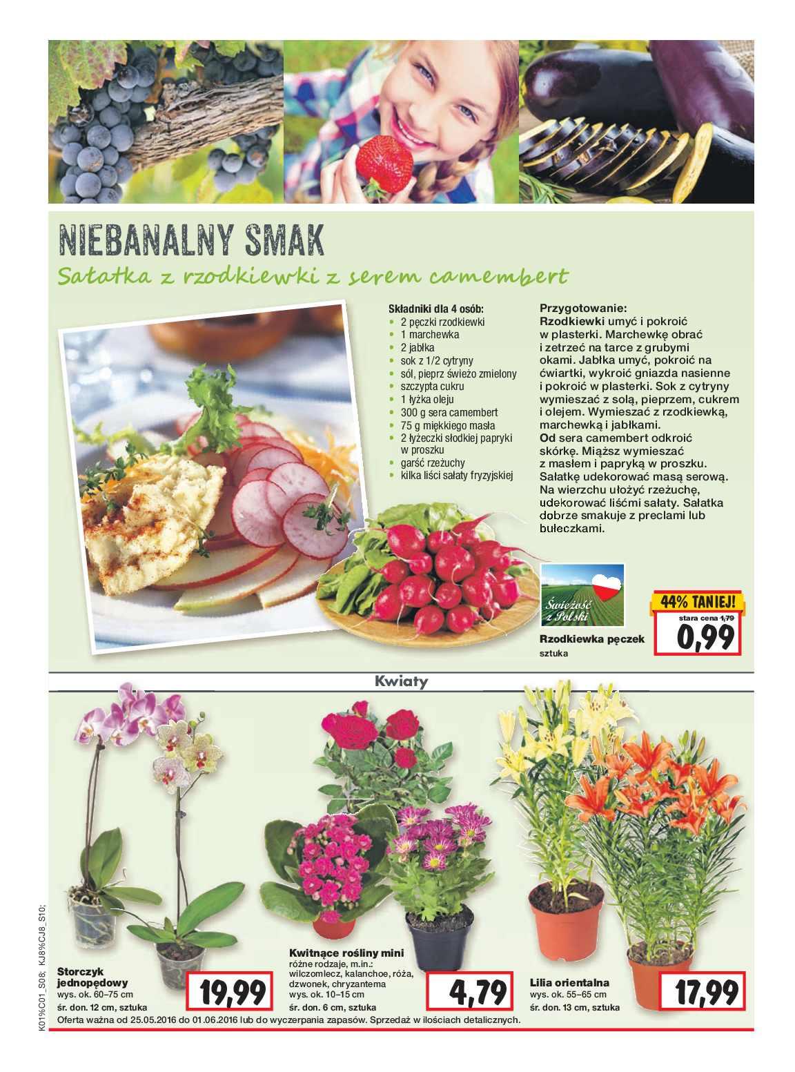 Gazetka promocyjna Kaufland do 01/06/2016 str.9