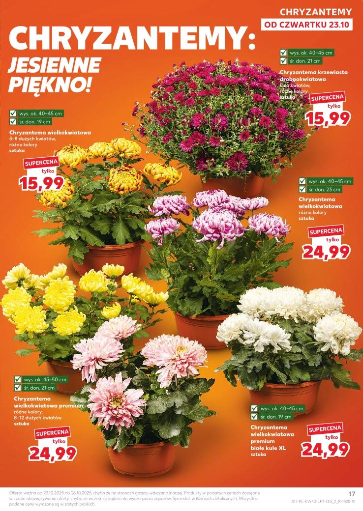 Gazetka promocyjna Kaufland do 29/10/2025 str.17