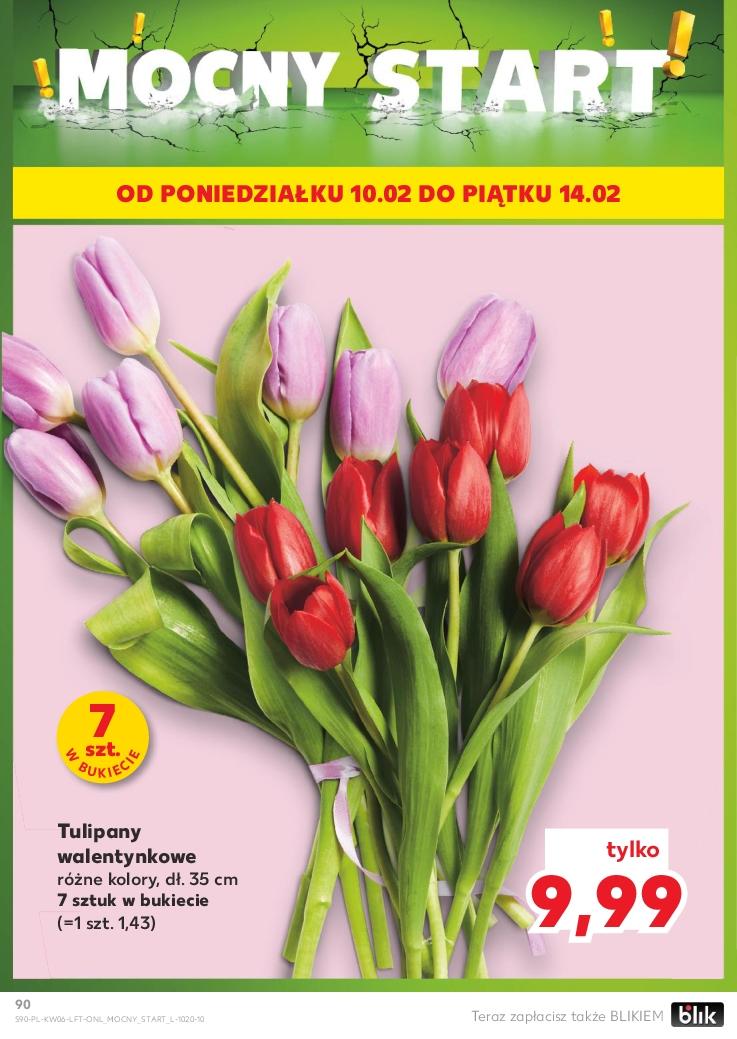 Gazetka promocyjna Kaufland do 12/02/2025 str.90