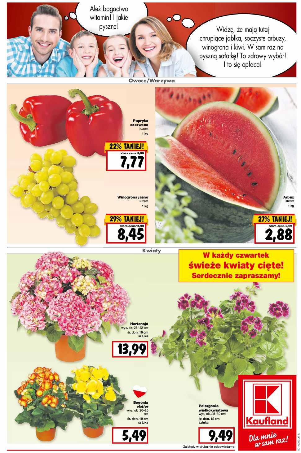 Gazetka promocyjna Kaufland do 11/05/2016 str.5