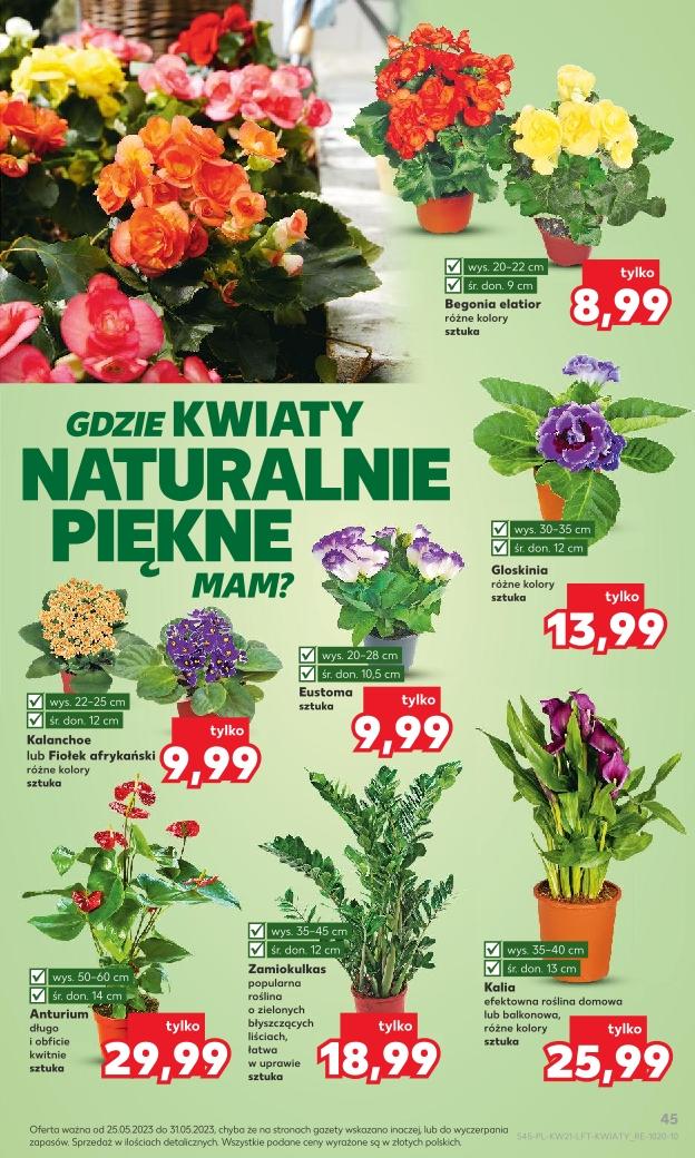 Gazetka promocyjna Kaufland do 31/05/2023 str.45