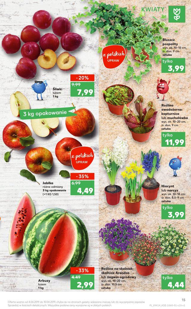 Gazetka promocyjna Kaufland do 10/04/2019 str.15