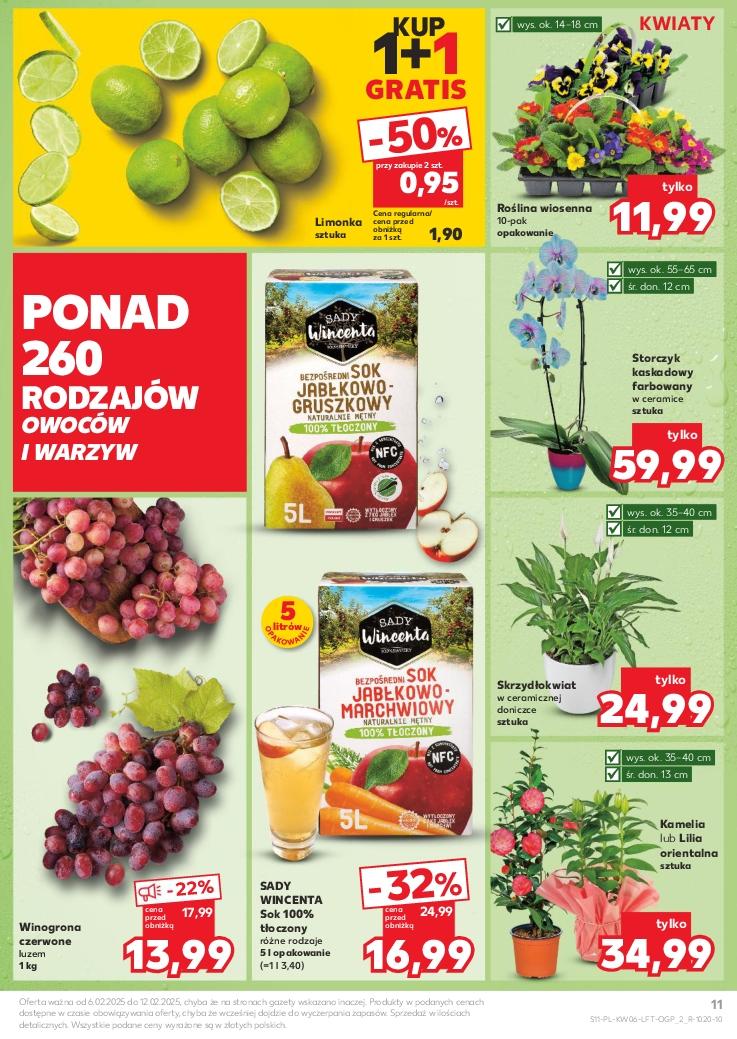 Gazetka promocyjna Kaufland do 12/02/2025 str.11