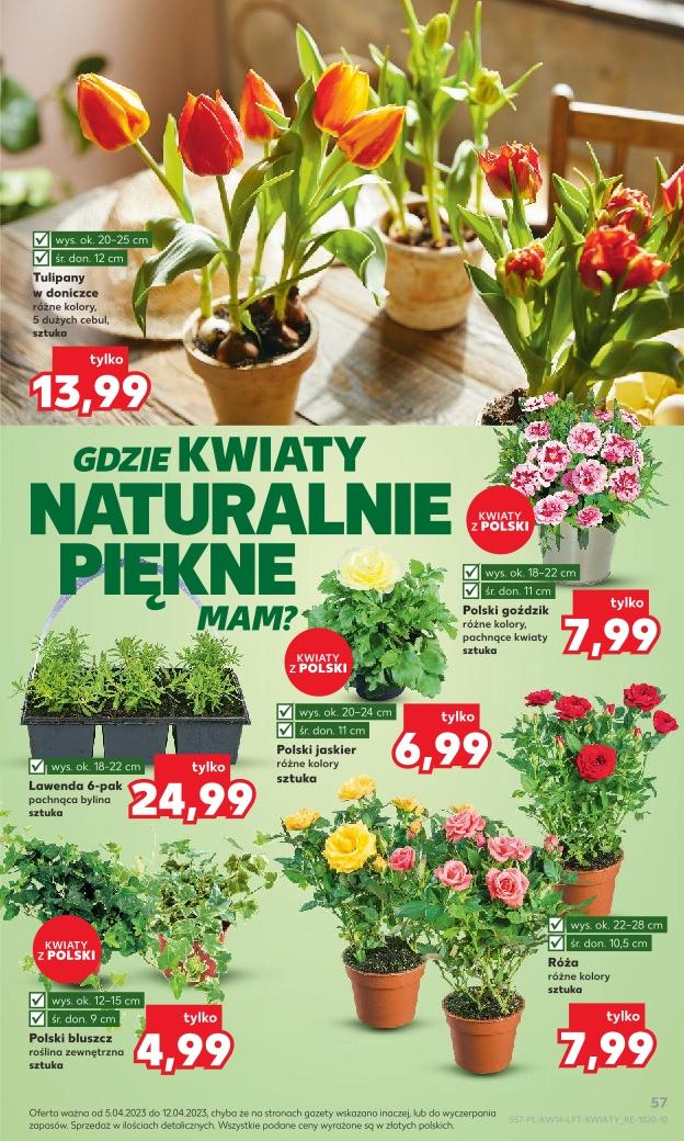 Gazetka promocyjna Kaufland do 12/04/2023 str.57