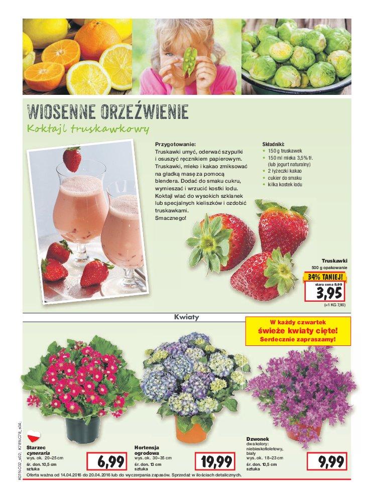 Gazetka promocyjna Kaufland do 20/04/2016 str.2