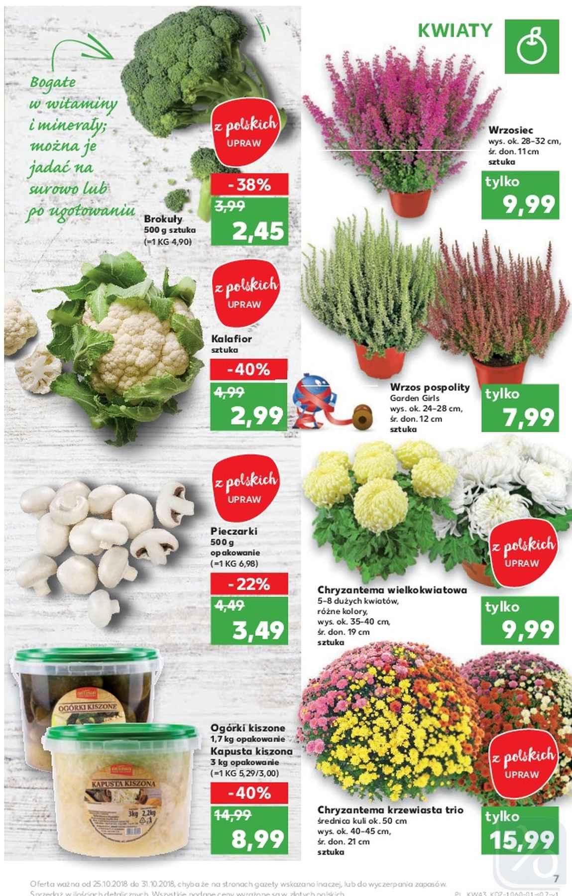 Gazetka promocyjna Kaufland do 31/10/2018 str.7