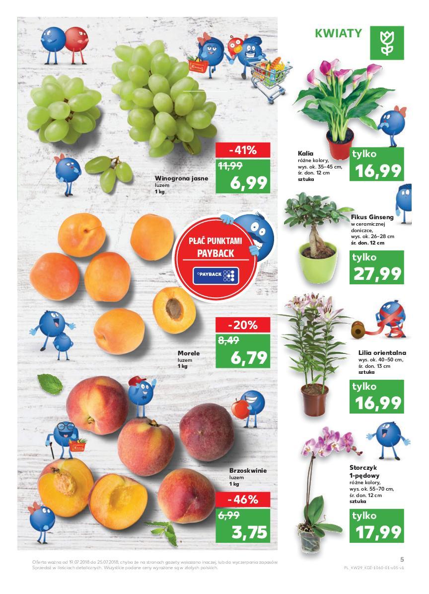 Gazetka promocyjna Kaufland do 25/07/2018 str.5