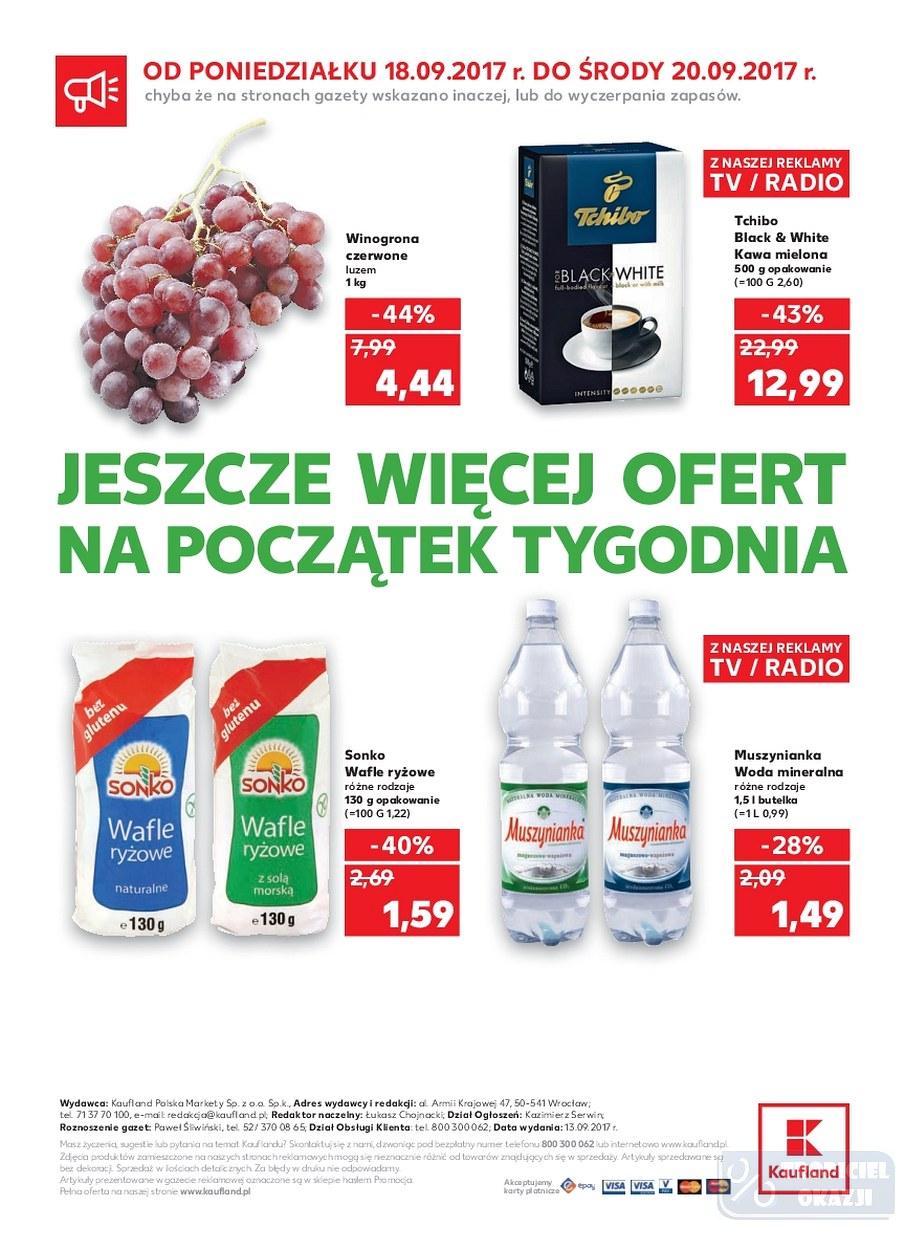 Gazetka promocyjna Kaufland do 20/09/2017 str.40