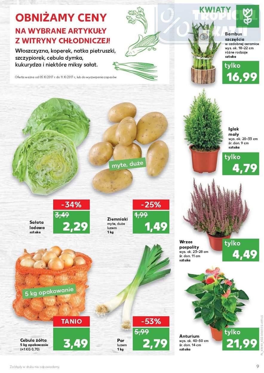 Gazetka promocyjna Kaufland do 11/10/2017 str.9