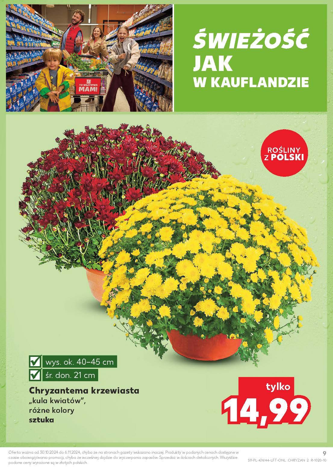 Gazetka promocyjna Kaufland do 06/11/2024 str.9