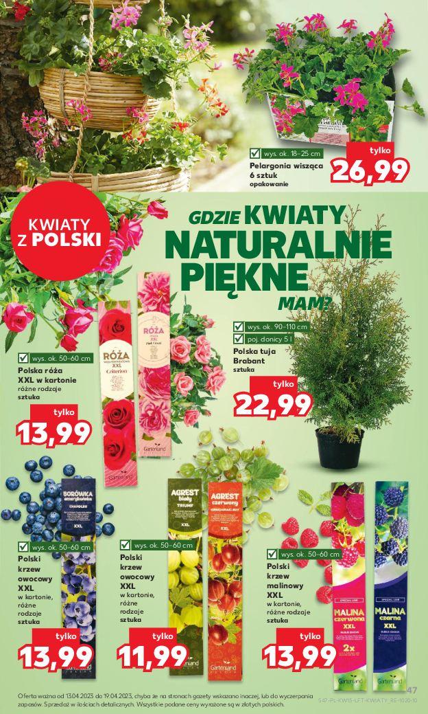 Gazetka promocyjna Kaufland do 19/04/2023 str.47