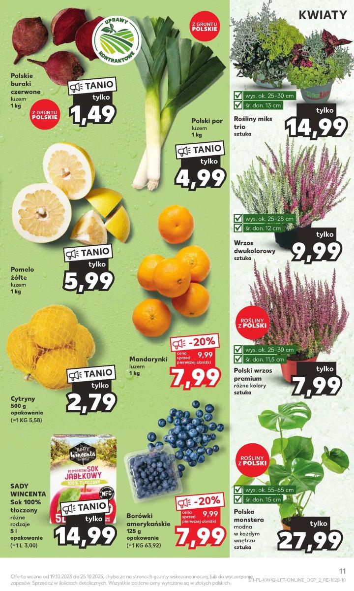 Gazetka promocyjna Kaufland do 25/10/2023 str.11