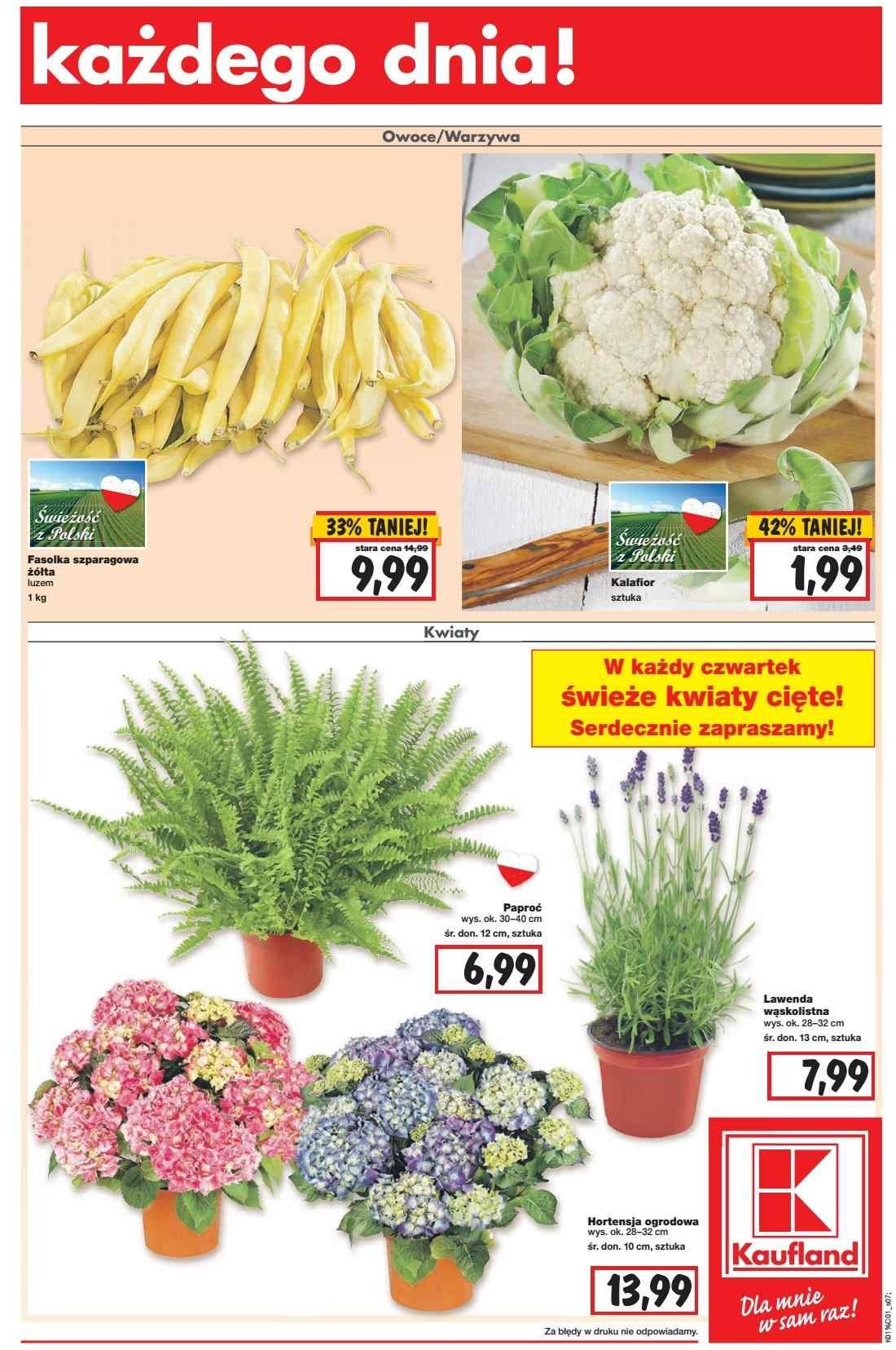 Gazetka promocyjna Kaufland do 15/06/2016 str.7