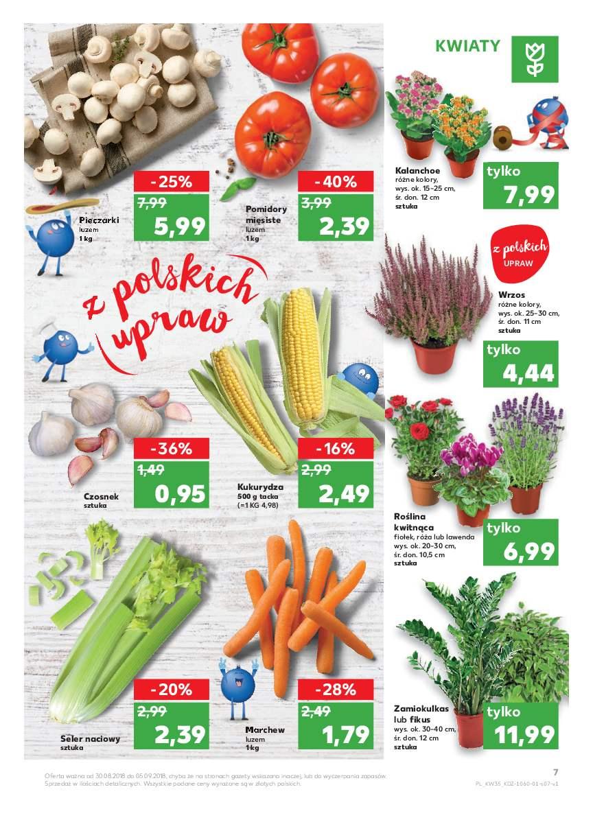 Gazetka promocyjna Kaufland do 05/09/2018 str.7